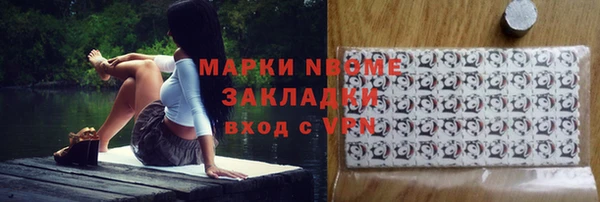 стаф Медногорск