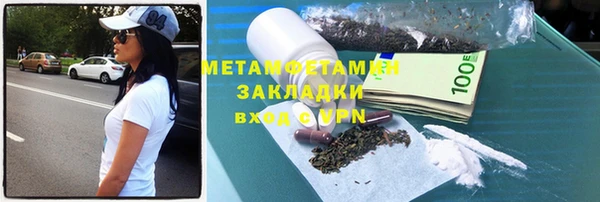 прущие грибы Видное