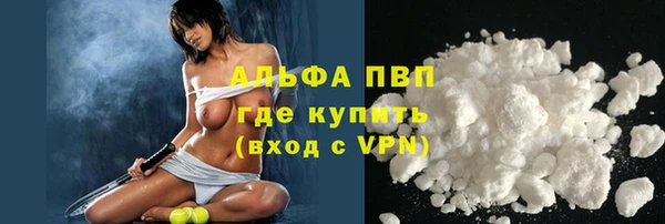 стаф Медногорск