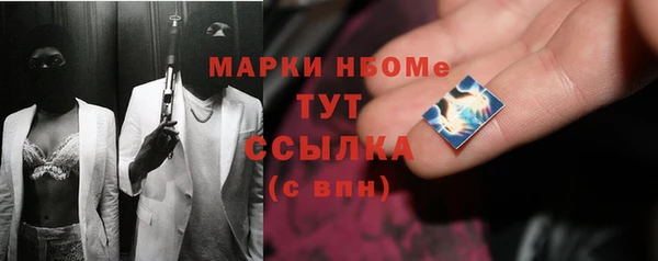 стаф Медногорск