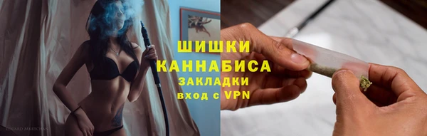 стаф Медногорск
