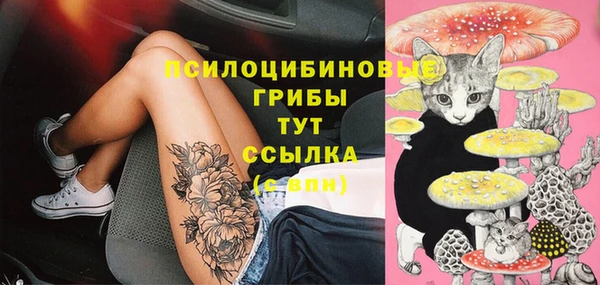 гидропоника Ветлуга