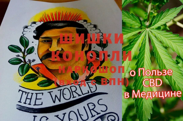 стаф Медногорск